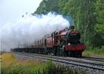 5972 Olton Hall steams through Sutton Park