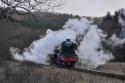 Scotsman At Nymr