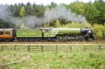 A side-on portrait of 60163 Tornado passing into Levisham station