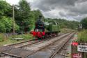 Lambton Tank No 29 At The Churnet Valley Railway