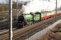 Lner Thompson Class B1 61306 Mayflower