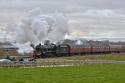 Leander At Battlefield, Shropshire