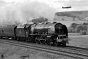 Duchess On Shap In The 1950's