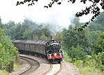 Torbay Express 2007. 6024, Whiteball. 26/08/07