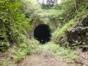 Yelverton Tunnel