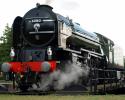 Tornado, Fire Fly And The Railmotor At Didcot, 11.6.2011