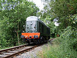 A Whistler in the Ecclesbourne Valley 16.7.2008