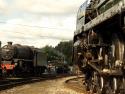 15 Guineas Veterans Meet At Barrow Hill.