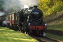 8f Exits West Hoathley Tunnel, Bluebell Railway Giants Of Steam 28 10 2016