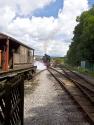 Special Leaving Ingrow Yard