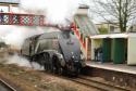 60019.bittern.torre Stn.20.3.2010.