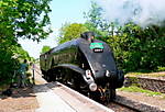 60019.Bittern.Bearley.Light engine.14.05.08.