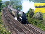 60019.Bittern.Culham.14.05.08.