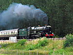 6024.King Edward 1.Beambridge.20.07.08.