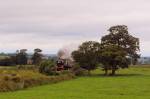 6024.King Edward 1.Powderham.30.8.09.