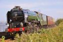 60163 Tornado. Starcross.3/7/2011.