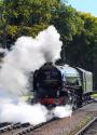 60163.tornado. Paignton. 26.9.2010.