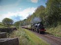 80097 At Lumb Wood