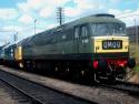 D17051