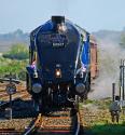 "Sir Nigel" At Westbury.