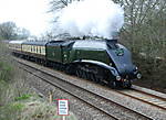 60019 Bittern.