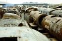 Barry Scrapyard.