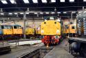 Barrow Hill Roundhouse.