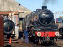 Black 5 At Tyseley.