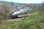 Dean Forest Railway #2.