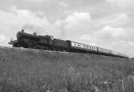 The Pines Express ?? - version 2 (B & W).