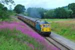 33109 at Dixton 12.07.09