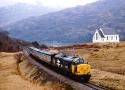 37407 At Polnish.
