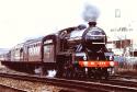 Sir Lamiel At Burton On Trent.