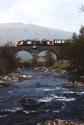 West Highland Scene.