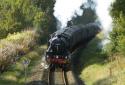 45231 heads towards Darwen with todays Witch Way special