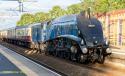 Sir Nigel Gresley 60007 On The Fellsman