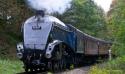 Sir Nigel Approaching Summerseat