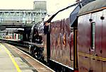 6233 "Duchess of Sutherland" at Stafford on 30th May 2008.