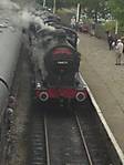 ELR Summer Steam Gala 2006