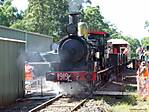 Beautiful 0-6-0 19 Class NSW Loco