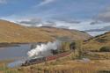 Steam Bash
