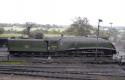 60019 Bitter At Ropley