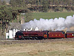 Duchess on Shap 2007