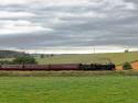 Scots Guardsman In Green Fields