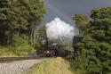 Sun, Steam And Rainbow