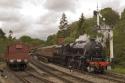 Goathland Fusilier