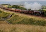 Cumbrian Mountain Duchess