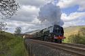 Majestic In Mallerstang