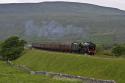 Ribblehead Guardsman