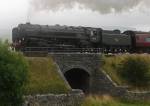 Cromwell close up